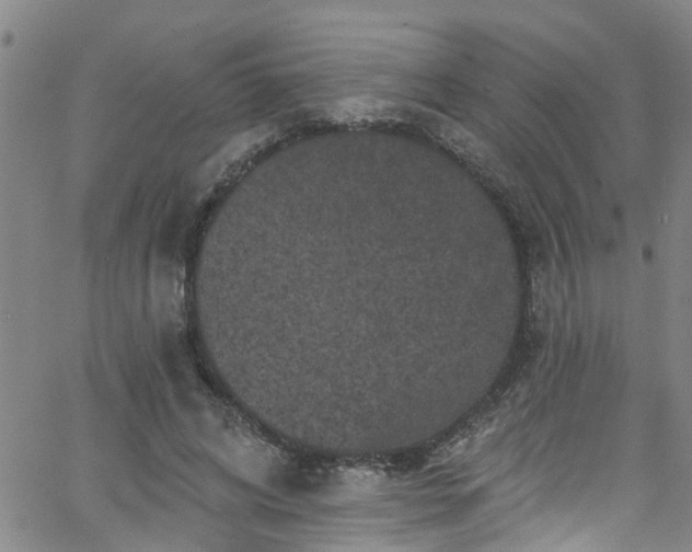 X0000058830592200510031349