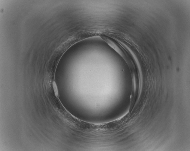 X0000058830593200510031349