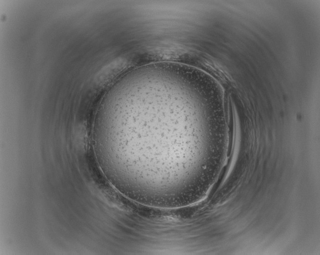 X0000058830594200510031349