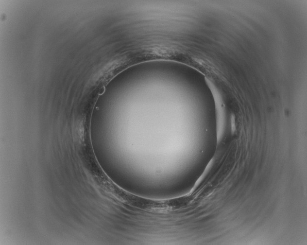 X0000058830595200510031349