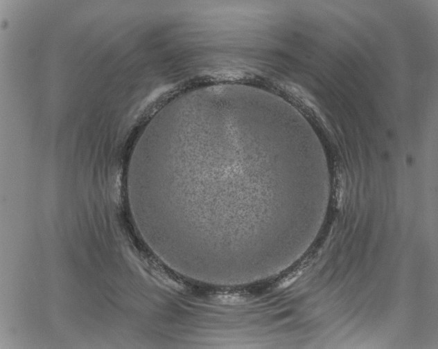 X0000058830596200510031349