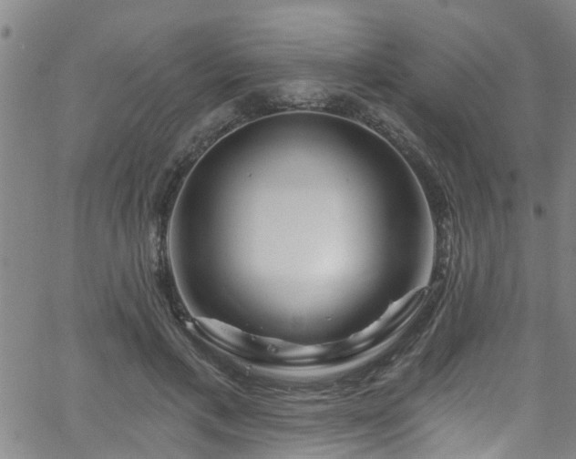 X0000058830597200510031349