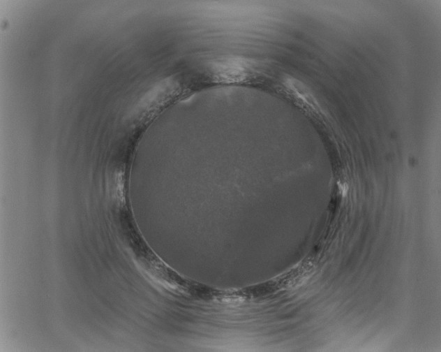 X0000058830598200510031349