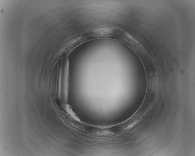 X0000058830599200510031349