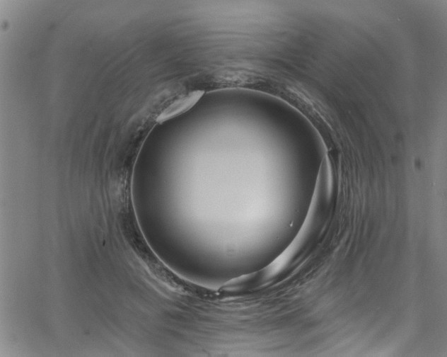 X0000058830601200510031349