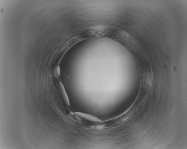 X0000058830602200510031349