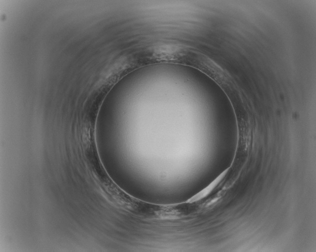 X0000058830603200510031349