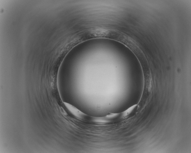 X0000058830604200510031348