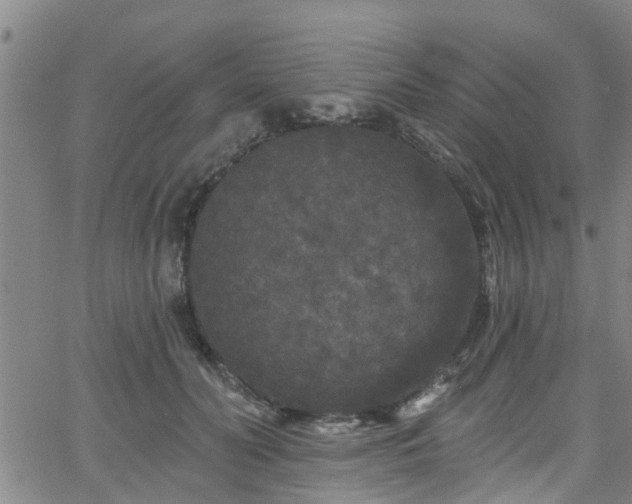 X0000058830606200510031348