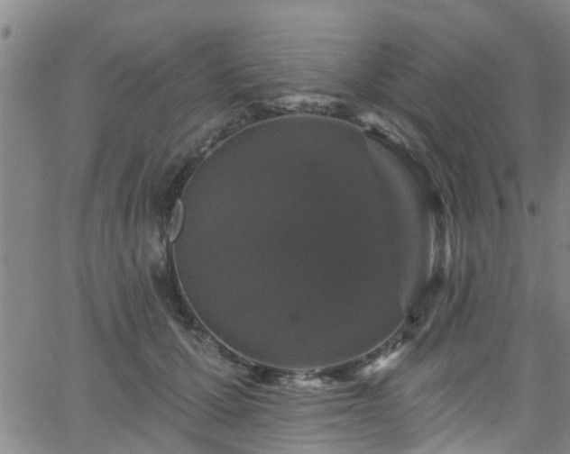 X0000058830607200510031348