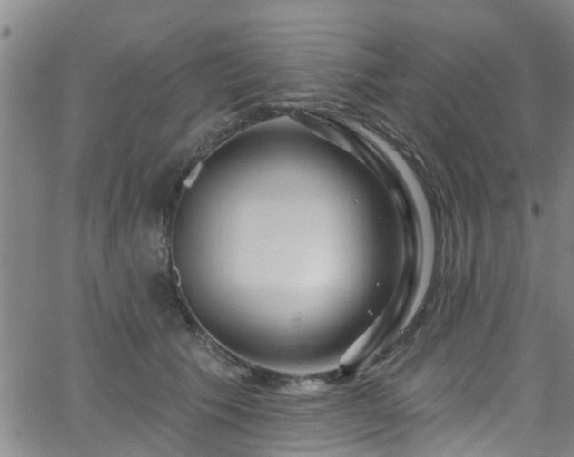 X0000058830609200510031348