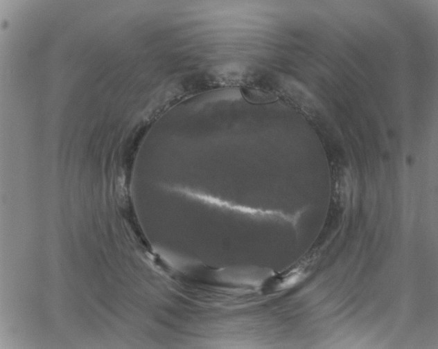 X0000058830610200510031348