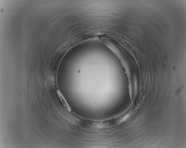 X0000058830613200510031348