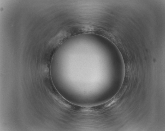 X0000058830614200510031348