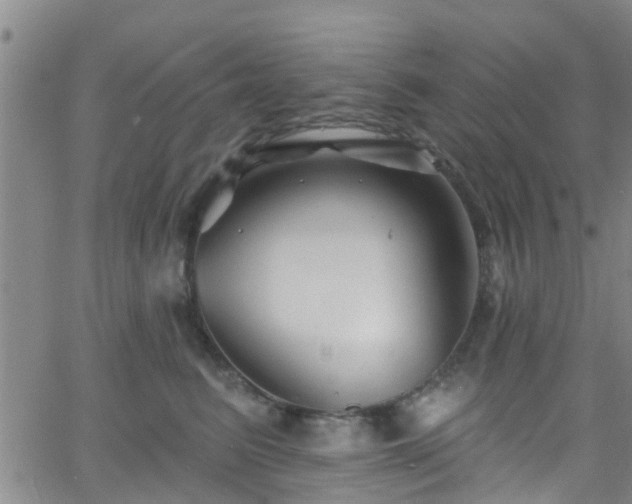 X0000058830615200510031348