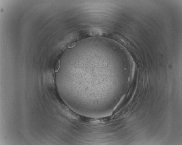 X0000058830616200510031348