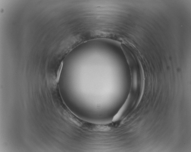 X0000058830617200510031348