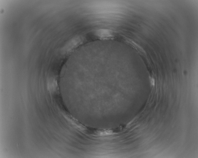 X0000058830618200510031348