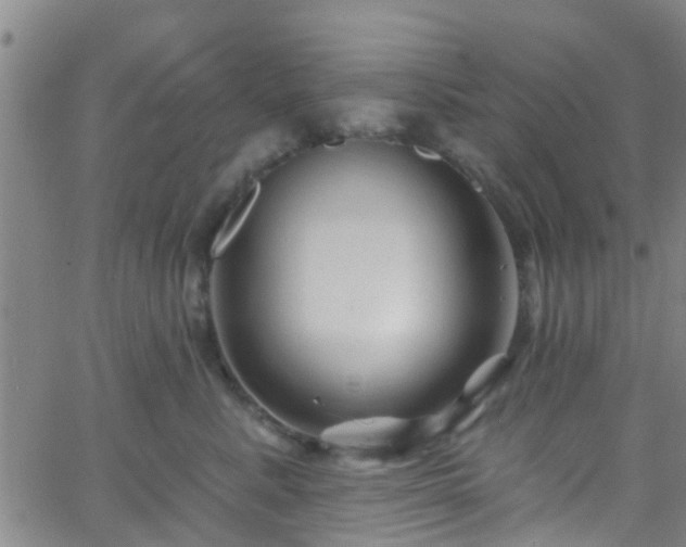 X0000058830619200510031348