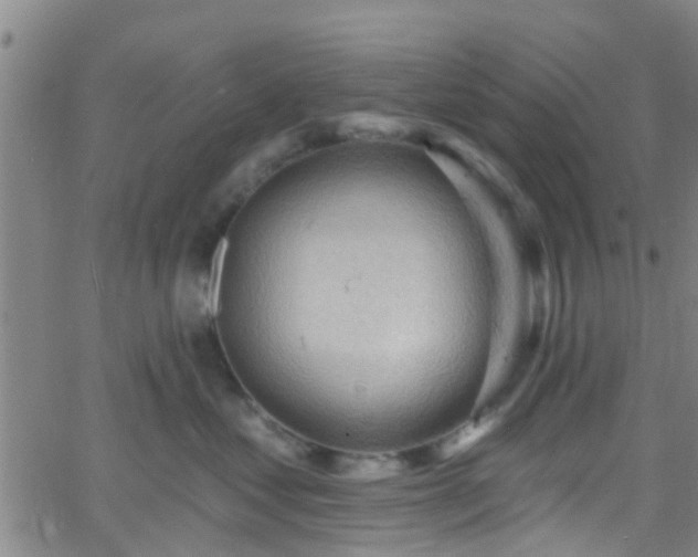 X0000058830621200510031348