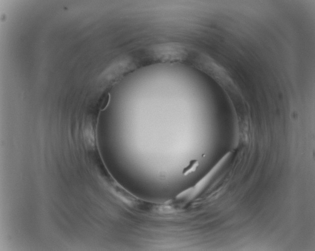 X0000058830622200510031348