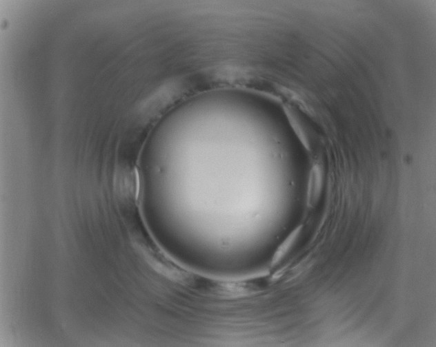 X0000058830623200510031348