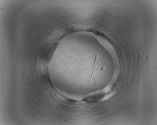 X0000058830624200510031348