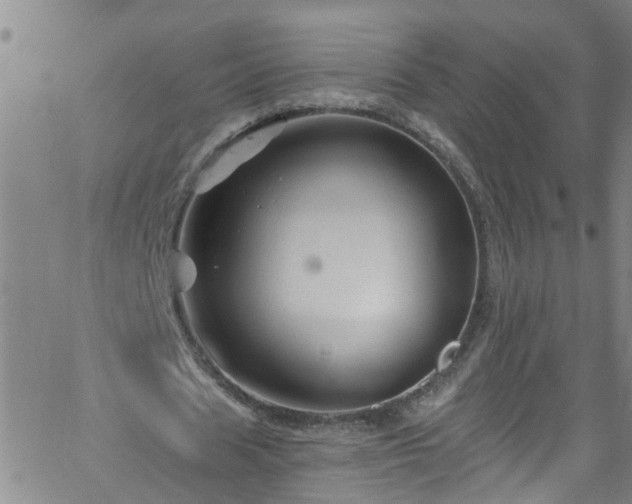 X0000058830625200510031347