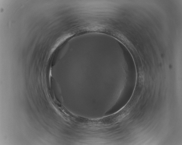 X0000058830626200510031347