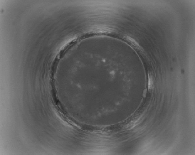 X0000058830627200510031347