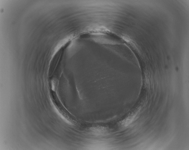 X0000058830630200510031347