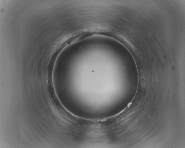 X0000058830631200510031347