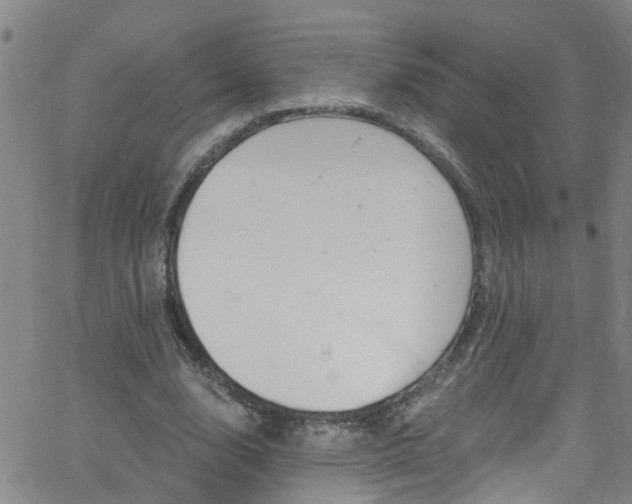 X0000058830632200510031347