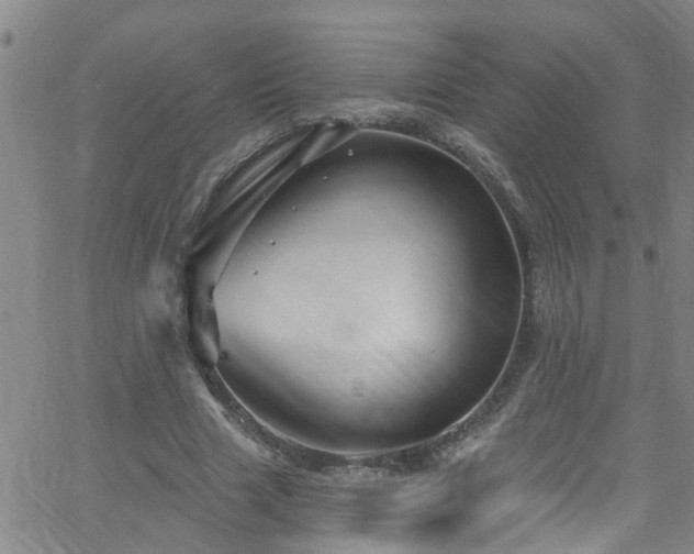 X0000058830633200510031347