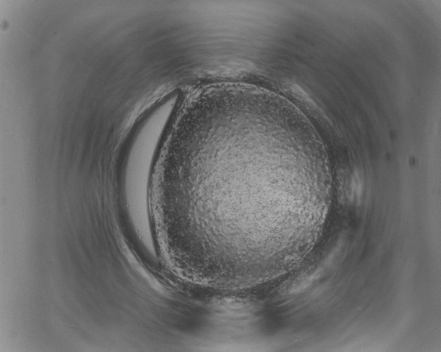 X0000058830634200510031347