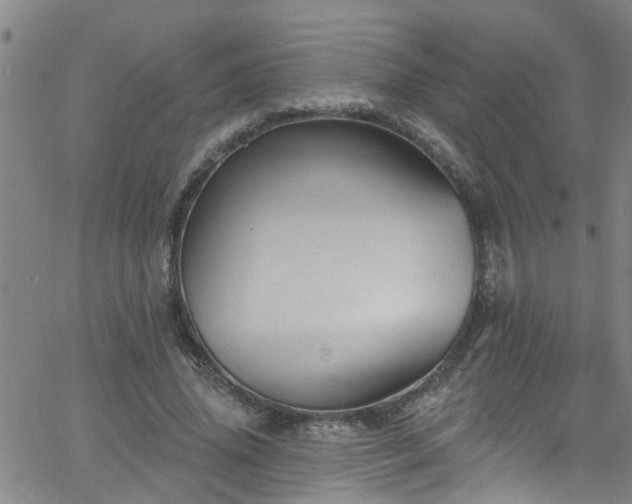 X0000058830636200510031348