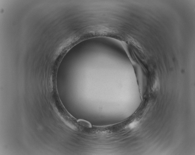 X0000058830638200510031348