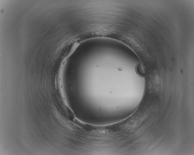 X0000058830639200510031348