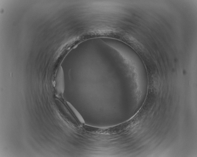 X0000058830640200510031348