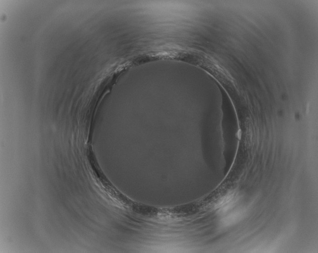 X0000058830641200510031348