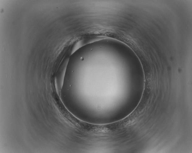 X0000058830642200510031348