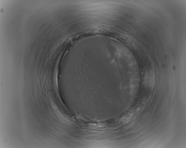 X0000058830643200510031348