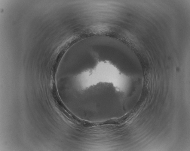 X0000058830644200510031348