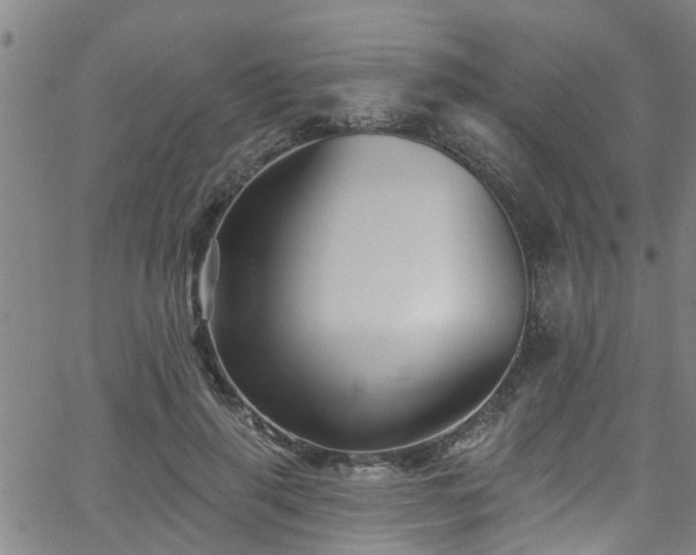 X0000058830645200510031348