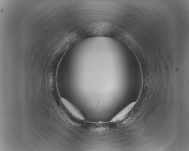 X0000058830646200510031348