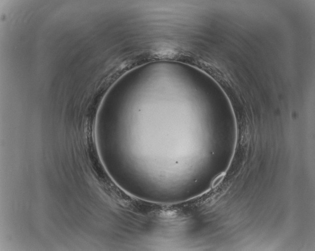 X0000058830647200510031348