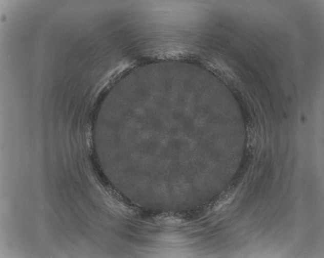 X0000058830648200510031348