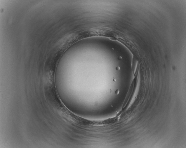 X0000058830649200510031348