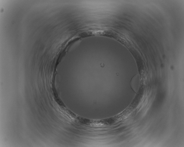 X0000058830650200510031348