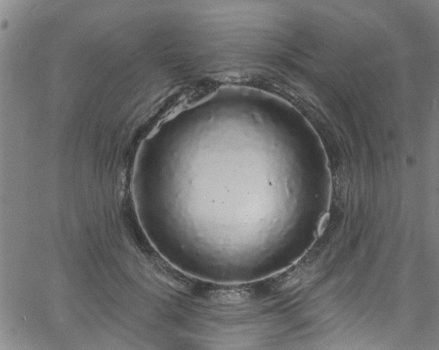 X0000058830652200510031348